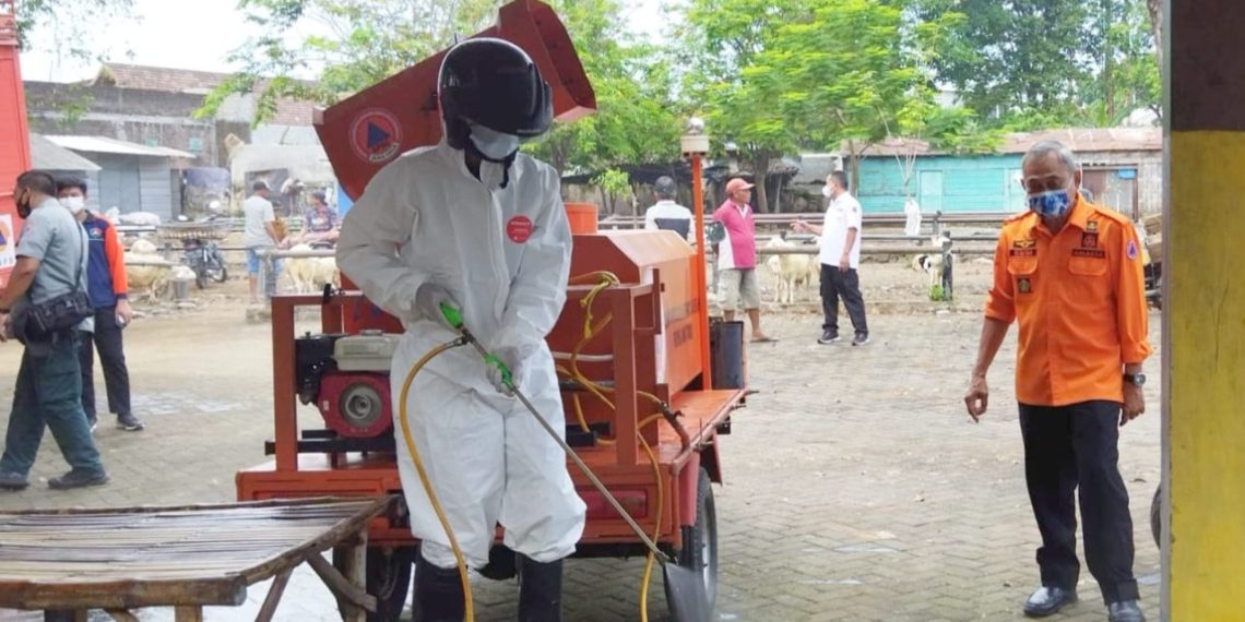 BPBD Jatim Lakukan Penyemprotan Cegah PMK Sapi